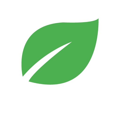 REES Thüringen – Sömmerda, Kölleda, Buttstädt, Rastenberg